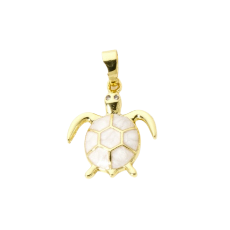 White Shelled Turtle