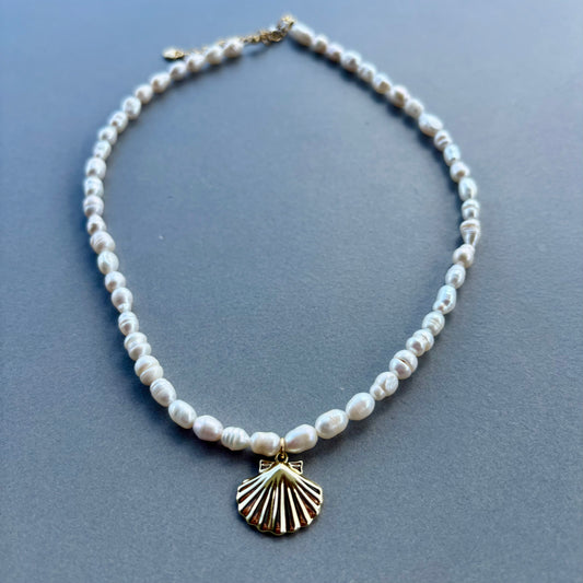 Shell Pendant Necklace