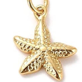 Starfish Charm